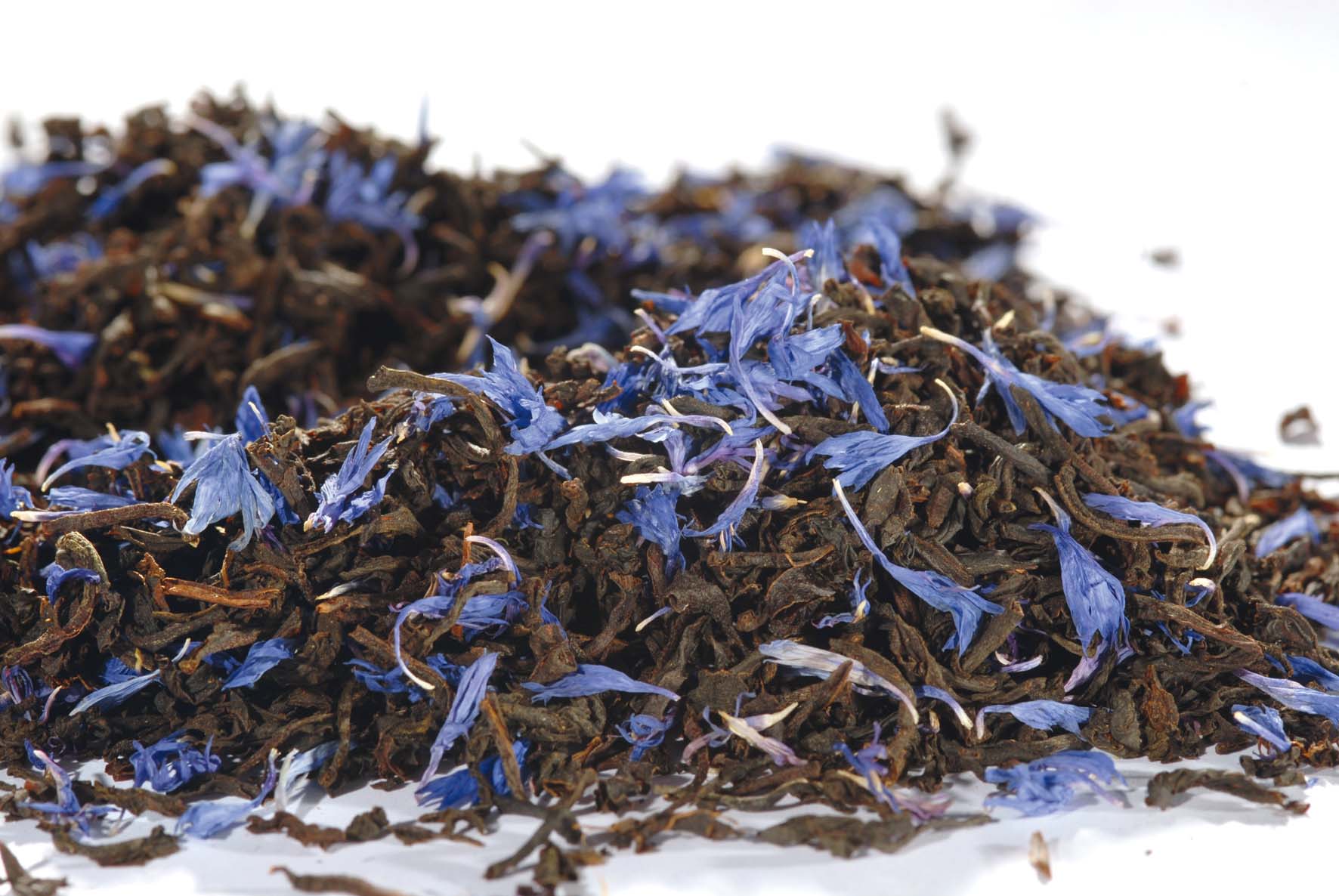 Earl Grey Bluestar
